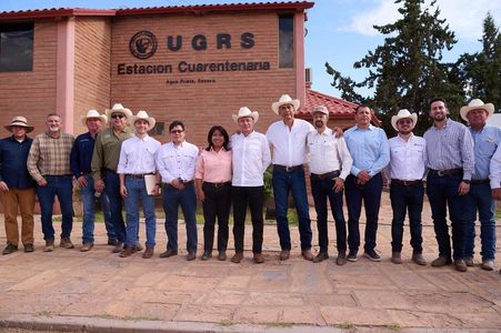 Sonora reactiva exportación de ganado a EU; gestiones de Sheinbaum y Durazo abren la frontera