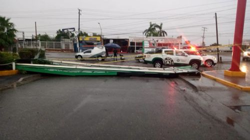 Autoridades atienden reportes por caída de árboles, cables y estructuras tras lluvias en Ciudad Obregón