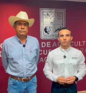 Gobierno de Sonora refuerza vigilancia sanitaria ante detección de gusano barrenador