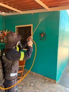 Destaca Salud Sonora acciones contra la rickettsia a través fumigación de viviendas y fomento de casa limpia